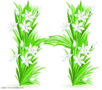 һܲƾ:ծȯͨƿɴ йڿһ